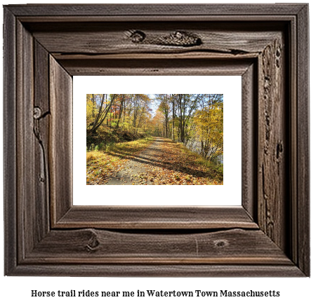 horse trail rides near me in Watertown Town, Massachusetts